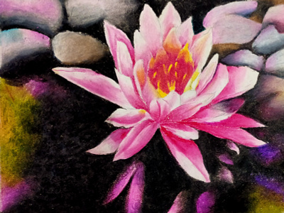 The Pastel Lotus (Oil Pastels) art artist design drawing illustration lotus oil pastels painting stone water water lily