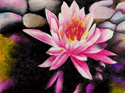 The Pastel Lotus (Oil Pastels)
