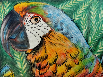 The eyes are not here art artist colors design drawing green illustration love nature painting parrot pencilcolours