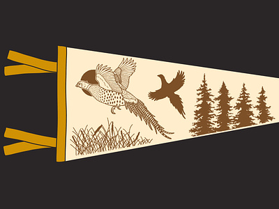 Pheasant Pennant Mock-up adventure branding design illustration landing page midwest pheasant