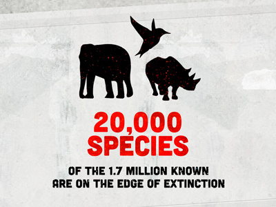 'The Next Mass Extinction' Infographic by Kevin van der Wijst on Dribbble