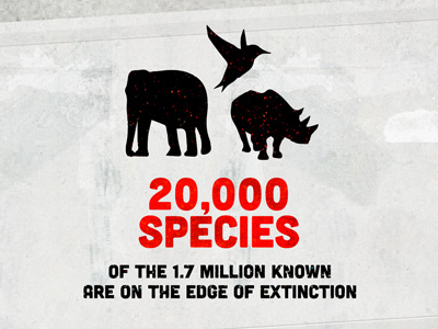 'The Next Mass Extinction' Infographic infographic