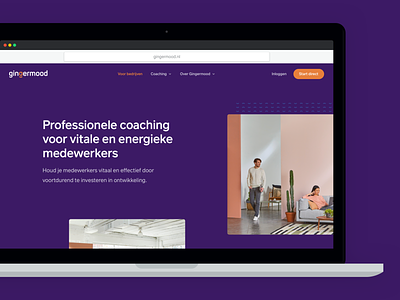 Gingermood - Professional Coaching Website coaching matching web website website design