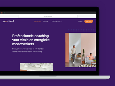 Gingermood - Professional Coaching Website