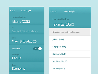 Garuda Indonesia iteration