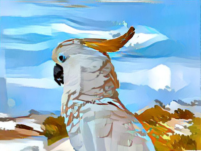 Cockatoo