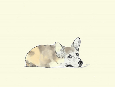 Corgi art corgi design dog illustration pet