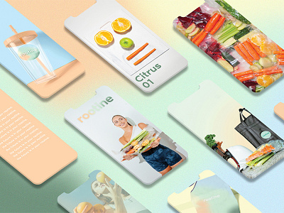 Rootine Branding branding design