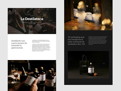The Mood Project - case study branding design interface layout packaging photography typography ui