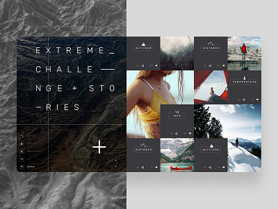 Into the wild - adventure platform app grid layout photography texture thumbs tiles ui wild