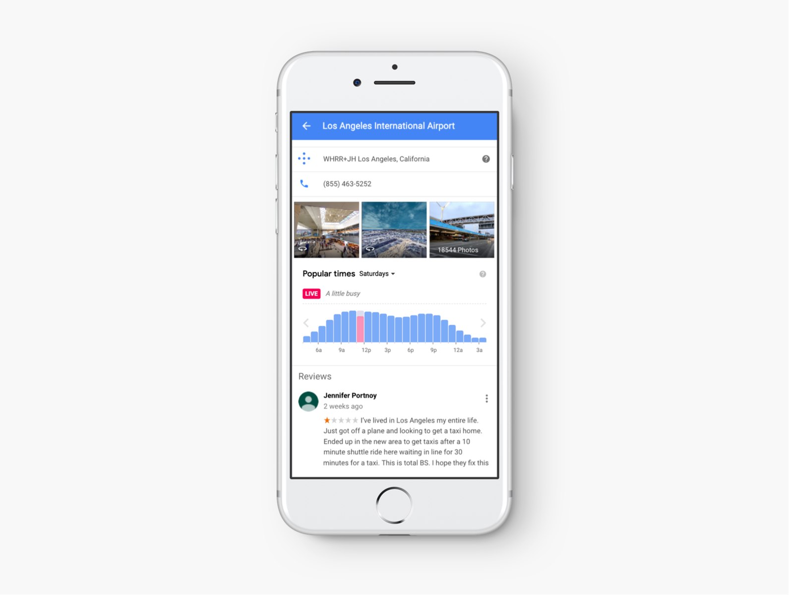 Live Popular Times on Google Search & Maps by Alex Lakas on Dribbble