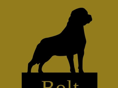 Bolt branding icon logo vector