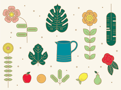 Spring Illustration Elements