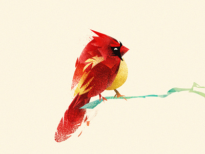 Mid-Winter Cardinal bird bird illustration cardinal design feathers graphic design illustration illustrator photoshop red texture vector