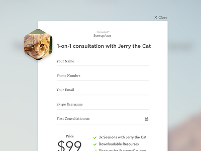 Simple Order Modal cat consultation form modal order popup pricing startup
