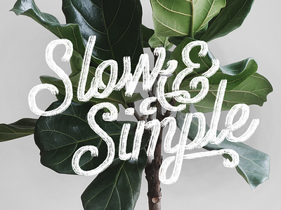 Slow & Simple brush green hand lettering lettering plant script simple tree type typography