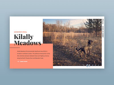 Kilally Meadows composition practice web design web interface design