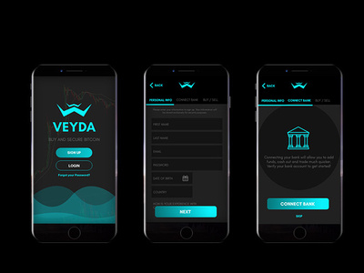 Veyda - Cryptocurrency Onboarding Exercise bank blue cryptocurrency dark wallet