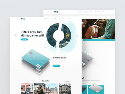 Troy - Payment Method art design minimal payment payment method simple site troy ui web design web site