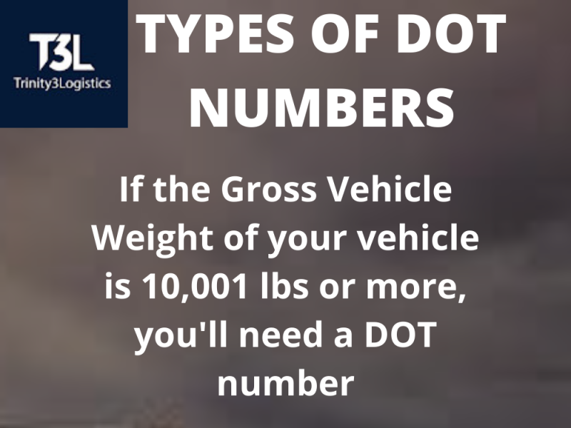 dribbble-types-of-dot-numbers-png-by-trinity-3-logistics