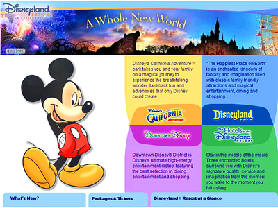 Disney Website Design
