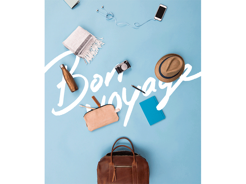 Bon Voyage gif for travel email series animated gif art direction email design email series gif graphic design lettering marketing photography travel travel design travel marketing