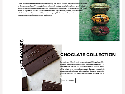 MAST BROTHERS website - Landing page ...2/3 abstract chocolate geometric landing mast modern typography ui ux visual website