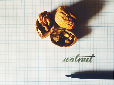 Walnut handlettering handmade lettering walnut