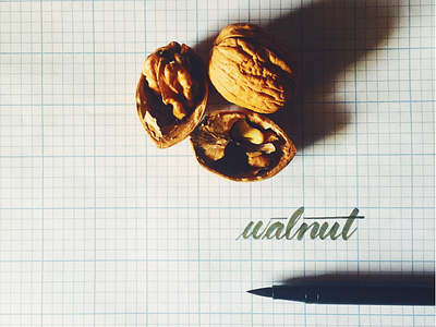 Walnut