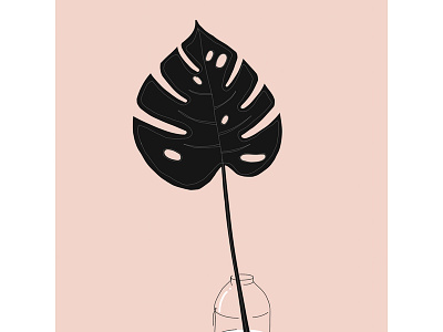 Monstera