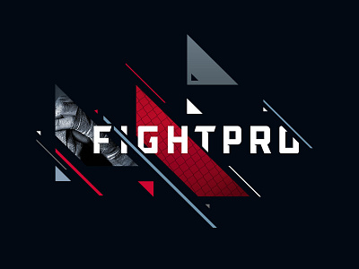 Fight Pro angle branding cage fight fight pro graphic mixed martial arts mma professional text