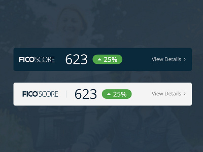 Credit Score Widgets