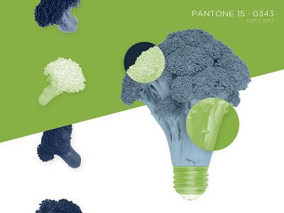 P 15-0343 broccoli color contrast duotone green pantone vegetable