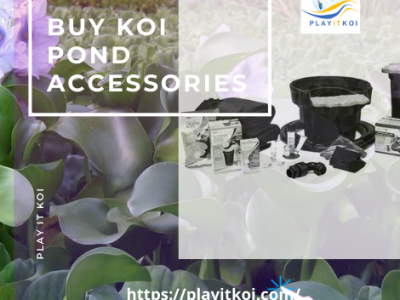 Buy KOI Pond Accessories koi pond accessories koi pond plants koi pond supplies play it koi pond accessories pond supply