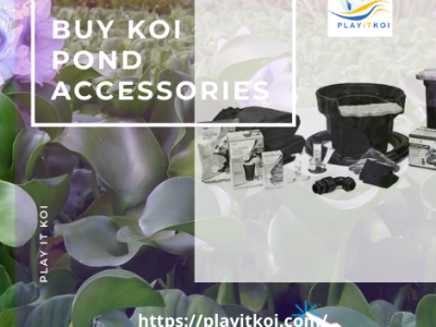 Buy KOI Pond Accessories