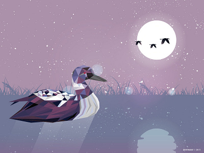 Loon Bird Enjoy The Moon animal background bird duck fauna illustration loon lowpoly moon night vector wildlife