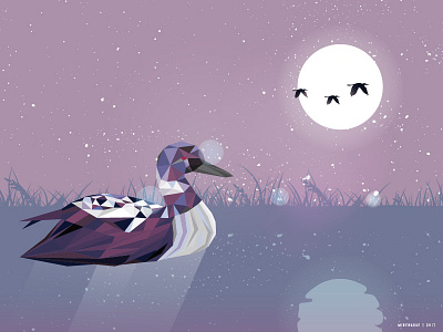 Loon Bird Enjoy The Moon