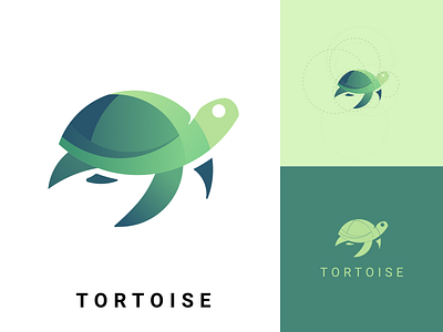 TORTOISE design illustration