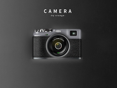 Quasiphysical camera app branding design icon illustration logo typography ui ux vector