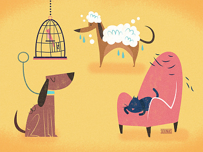 Pets allergy armchair bath bird cage cat clean dog parrot pet wash