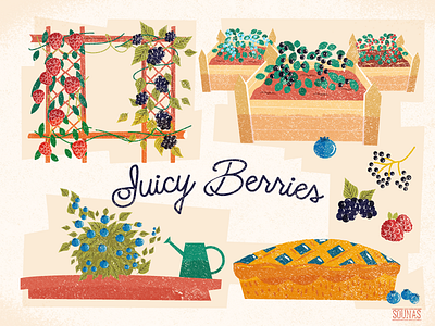 :::Juicy Berries::: berry blueberry food pie plants raspberry