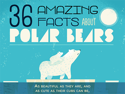 :::Polar Bears::: arctic bear ice north pole polar bear