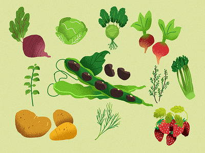 :::Garden Plants::: beans garden potato radish strawberries vegetables
