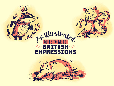 :::British expressions sketches::: animals badger concept expressions monkey pig sketch