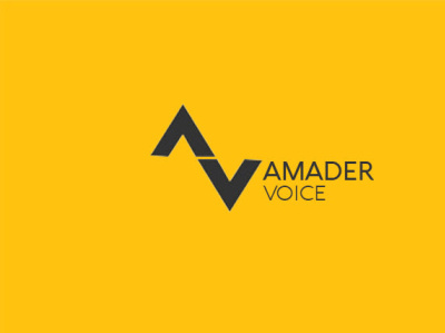 AV Voice logo