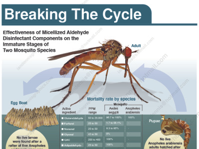 Breaking the Cycle design diagam graphic design illustration infographic newspaper publication