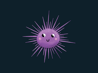 Sea Urchin