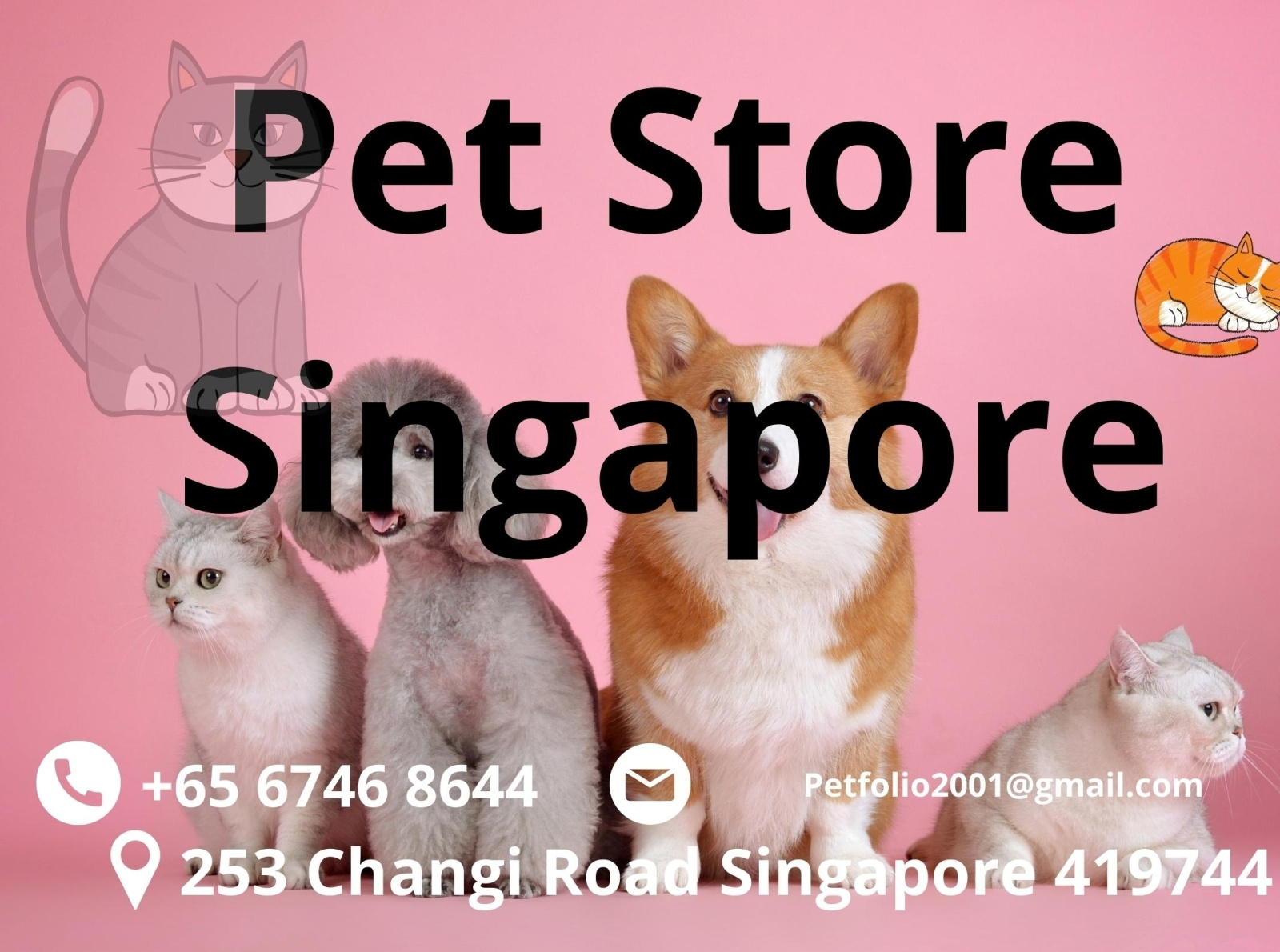 Pet Shop Singapore by Petfolio on Dribbble