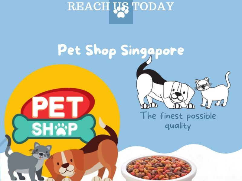 Pet Shop Singapore by Petfolio on Dribbble