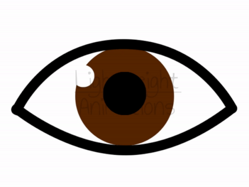 Eye Animation blink blinking eye eyelid health look member review see seeing seen view vision
